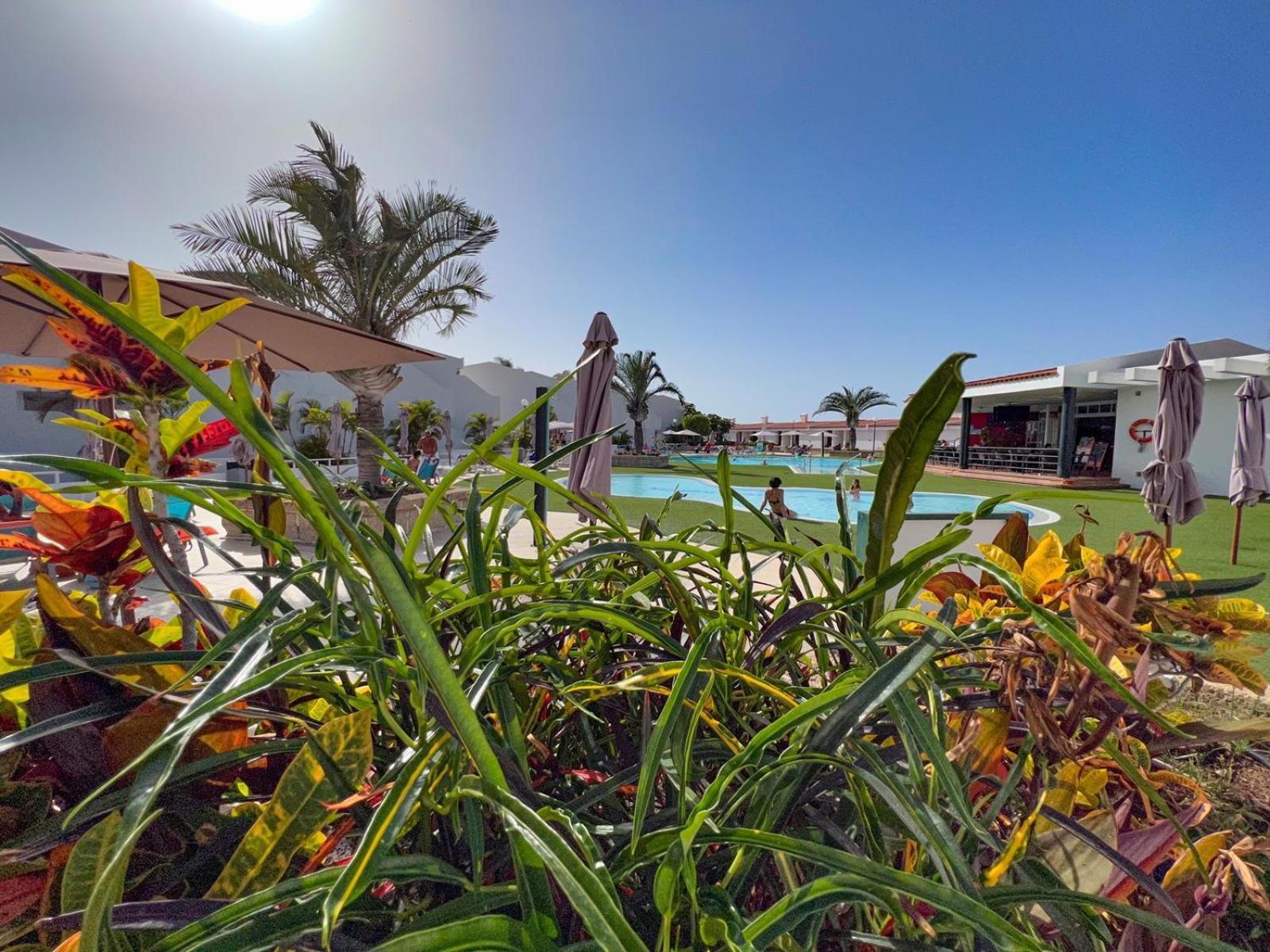 Malibu Park Apartments Sol アデヘ エクステリア 写真